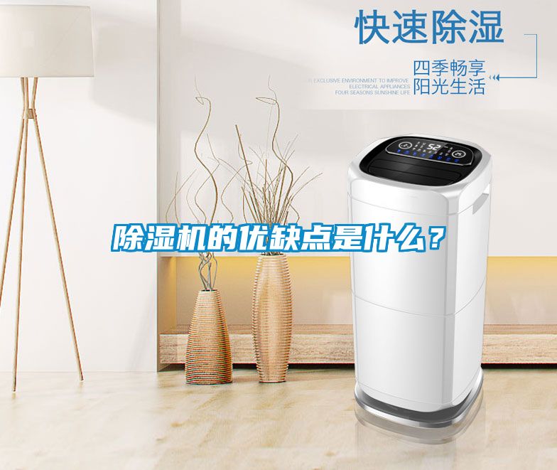 除濕機(jī)的優(yōu)缺點是什么？