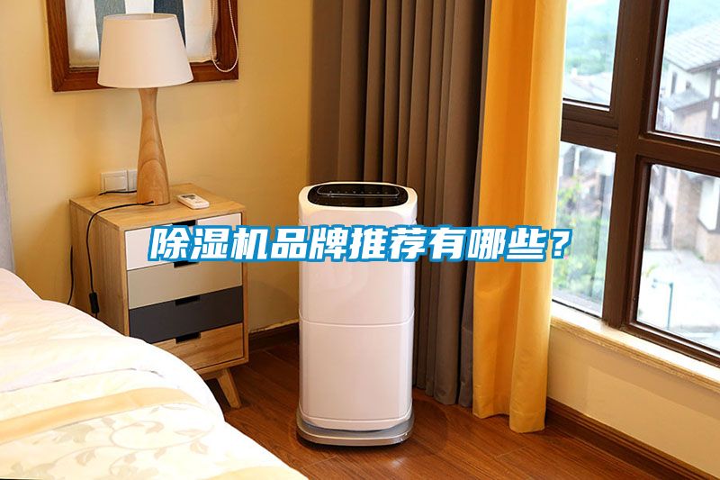 除濕機(jī)品牌推薦有哪些？
